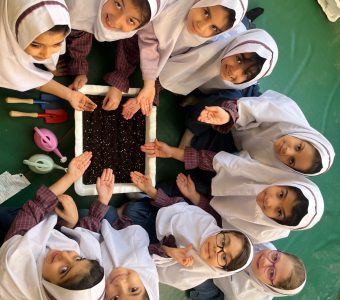 باغچه ستاره